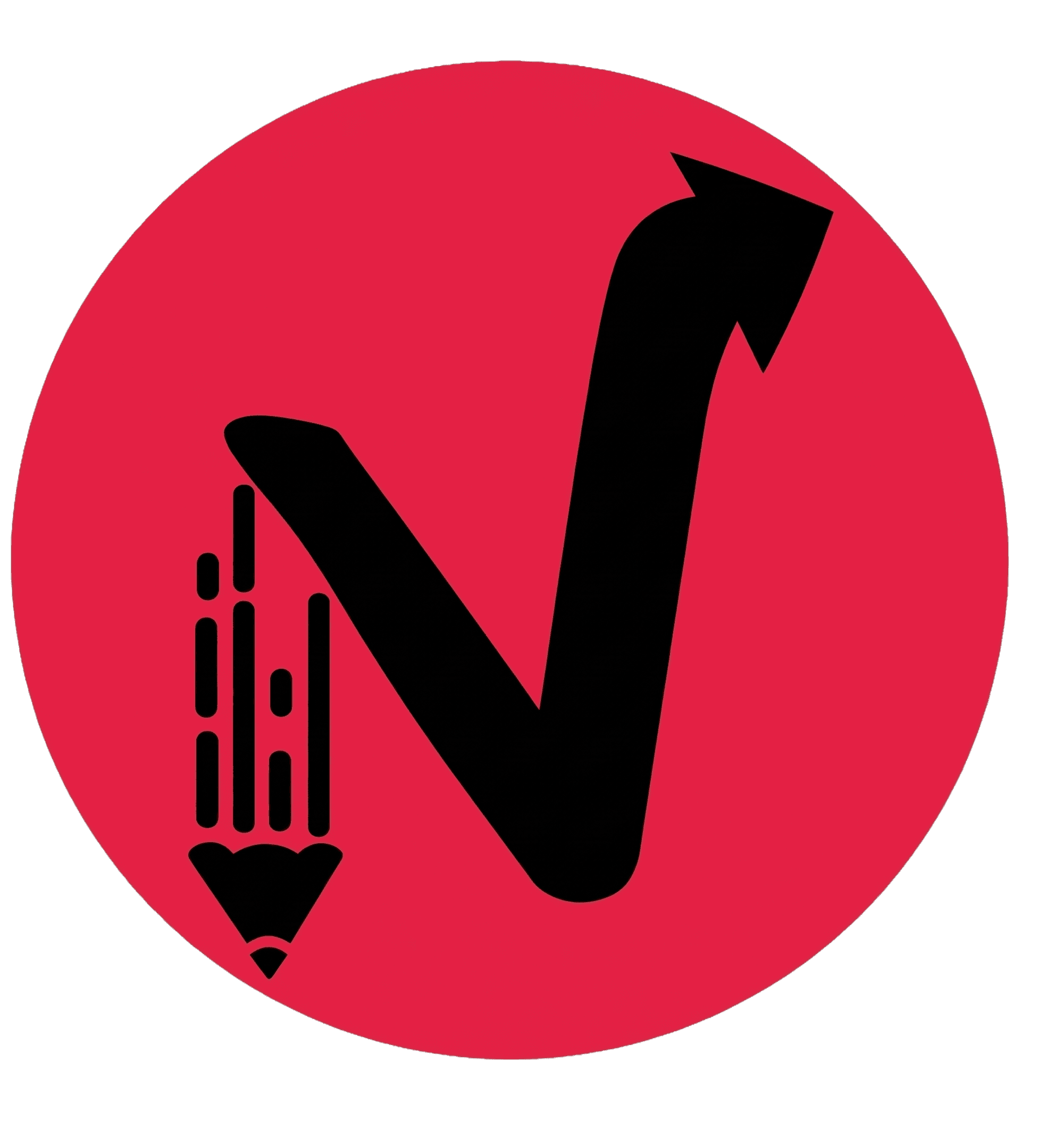 NetAkademi Logo